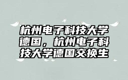杭州電子科技大學德國，杭州電子科技大學德國交換生